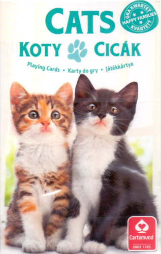 4 az 1-ben / Kedvenceink a cicák kártya